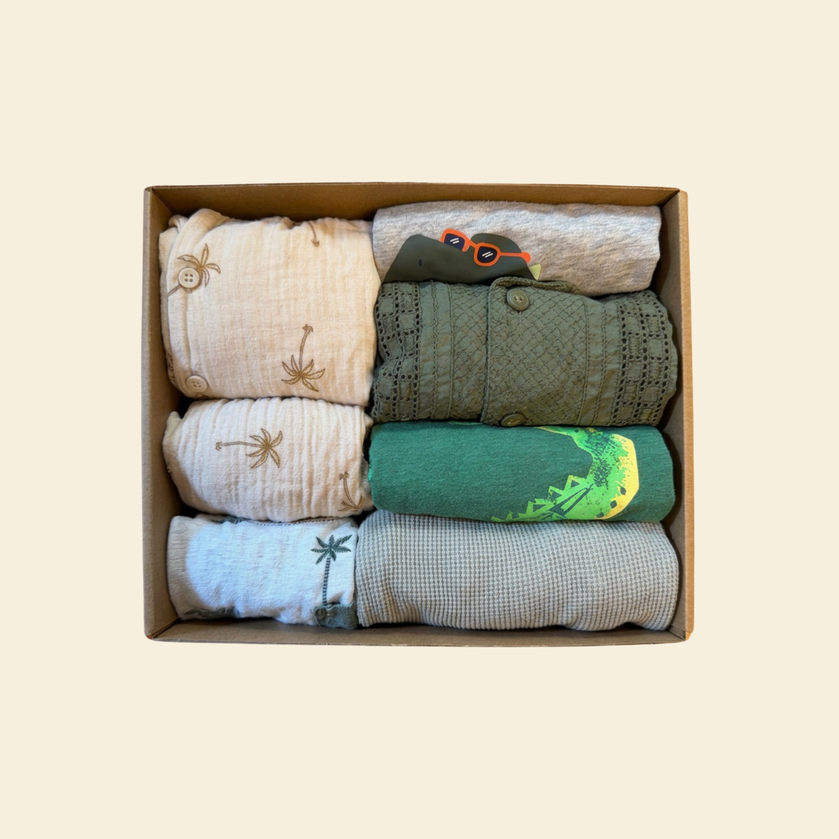 box of boys clothing with dinosaur and palm tree accents