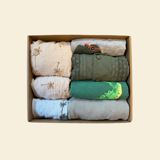 box of boys clothing with dinosaur and palm tree accents